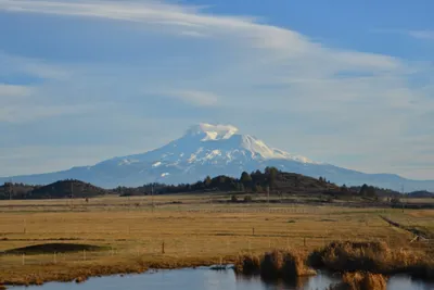 DSC_5993 (Large).JPG